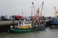 Trawler for sale