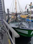 Trawler for sale