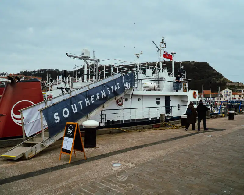 Survey vessel for sale