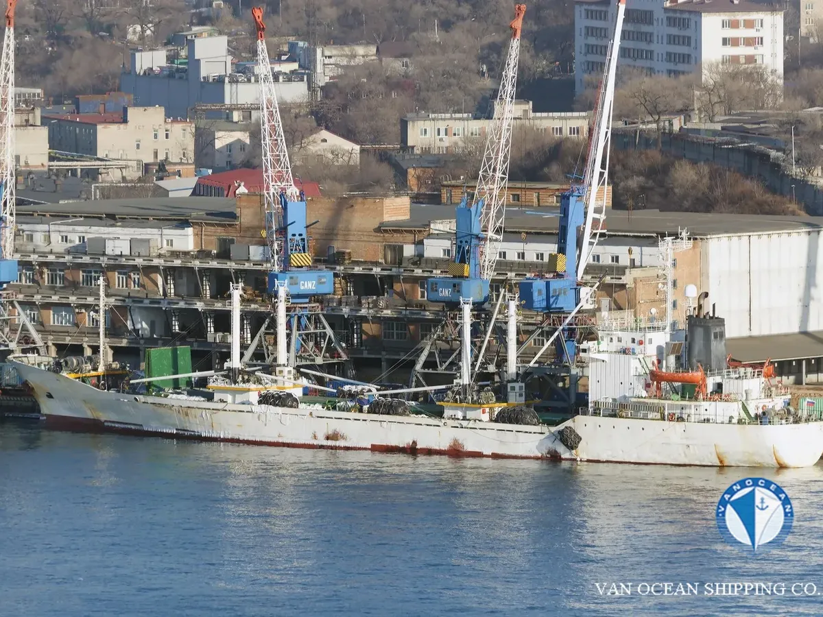 Reefer ship for sale