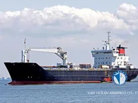 Reefer ship for sale