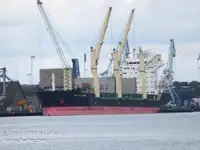 Reefer ship for sale