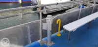 Catamaran for sale