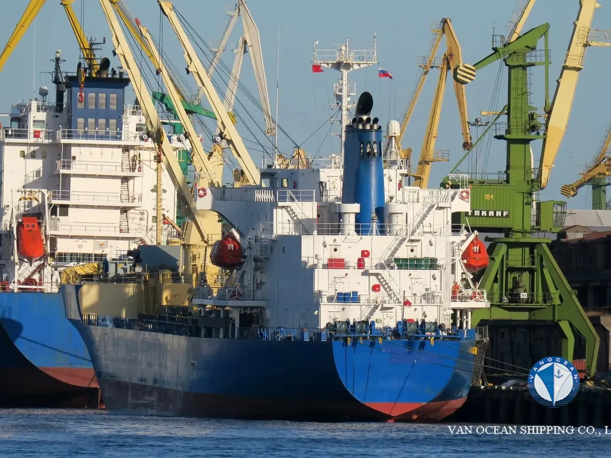 Reefer ship for sale