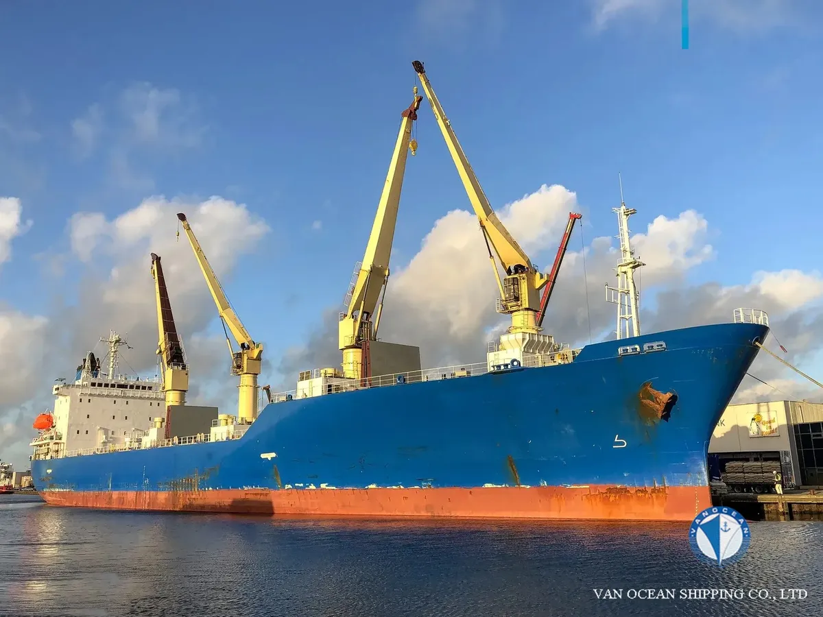 Reefer ship for sale