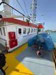 Container ship for sale