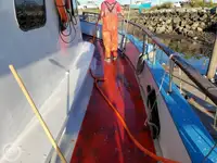 Ferry vessel for sale