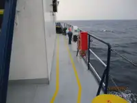 Reefer ship for sale