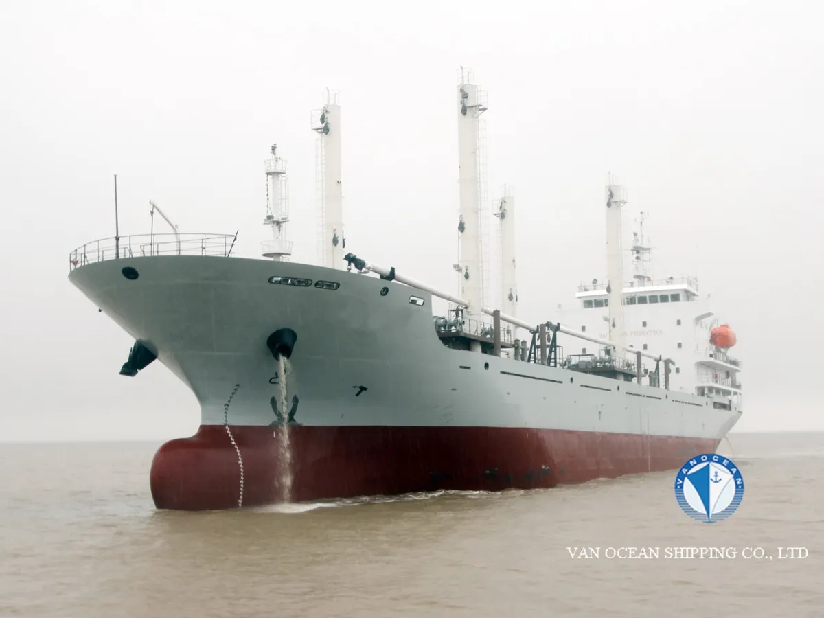 Reefer ship for sale