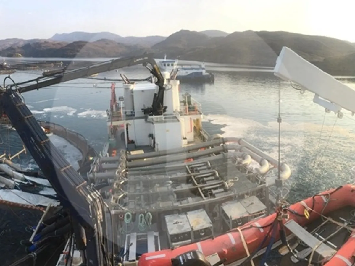 Survey vessel for sale