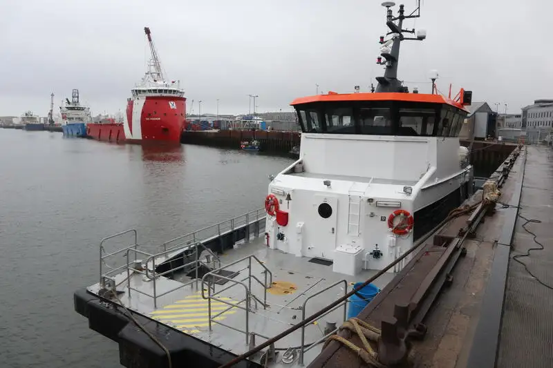 Catamaran for sale