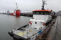 Catamaran for sale