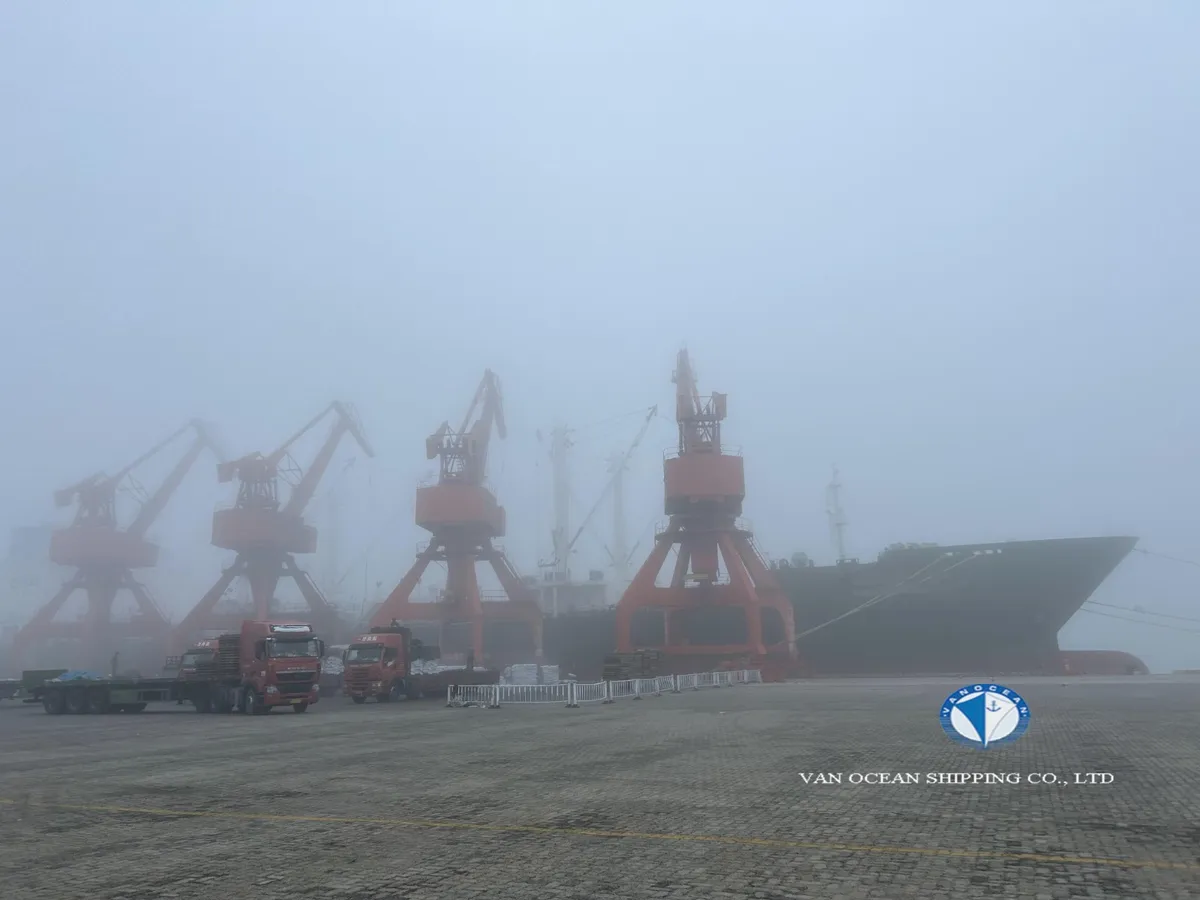 Reefer ship for sale