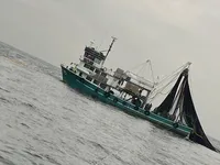 Purse seiner for sale