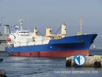 Reefer ship for sale