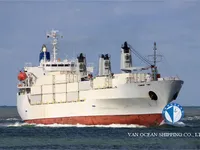 Reefer ship for sale