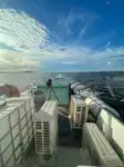 Container ship for sale