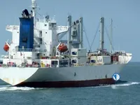 Reefer ship for sale