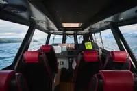 Patrol boat for sale