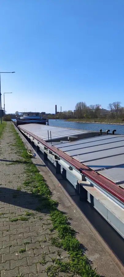 Bulk carrier for sale