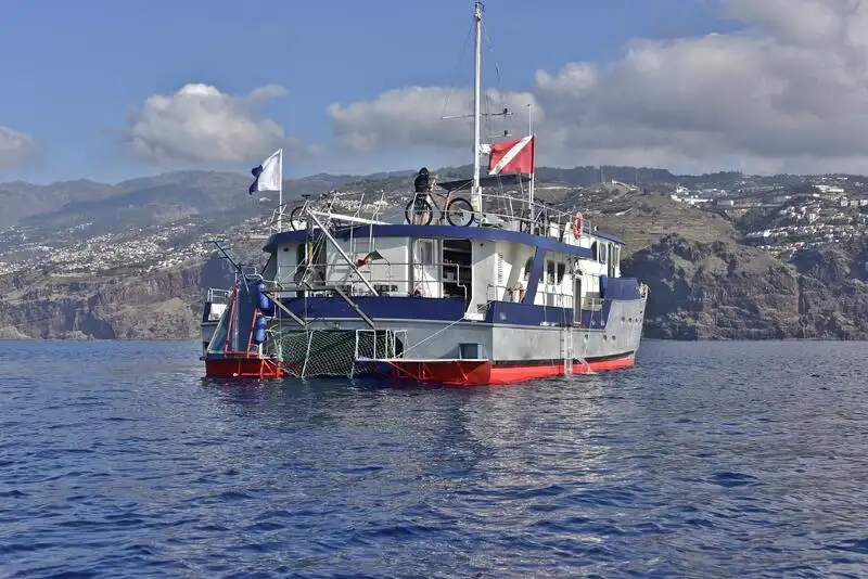 Towboat for sale