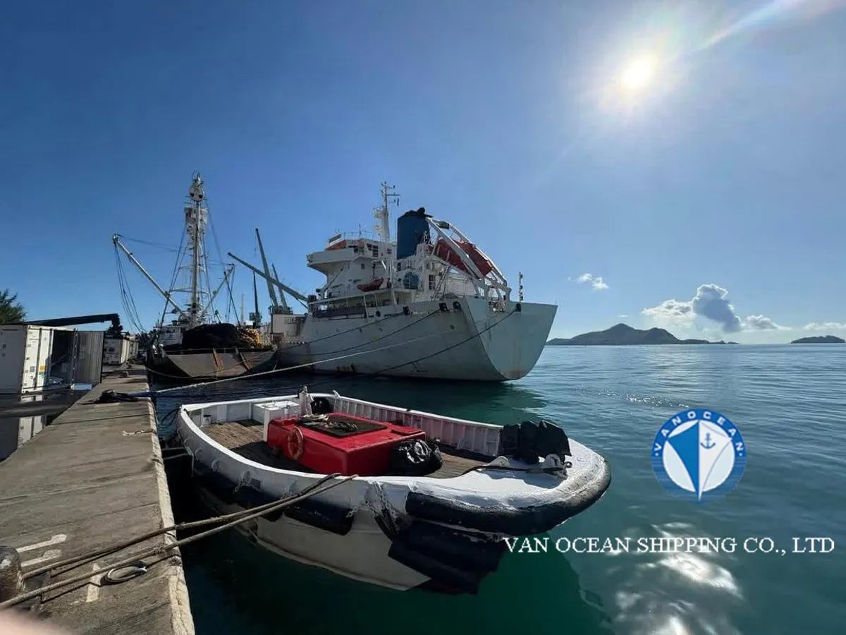 Reefer ship for sale