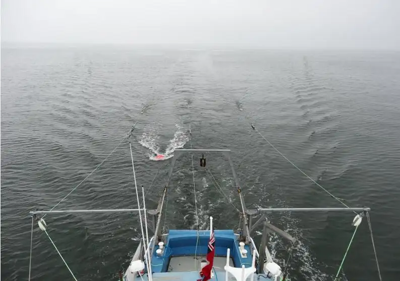 Survey vessel for sale