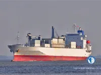 Reefer ship for sale
