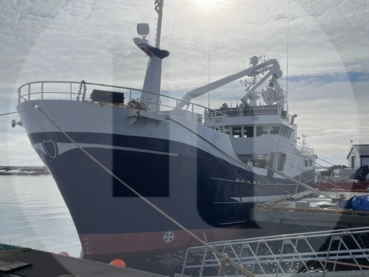 Purse seiner for sale