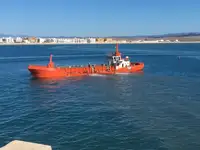 Container ship for sale