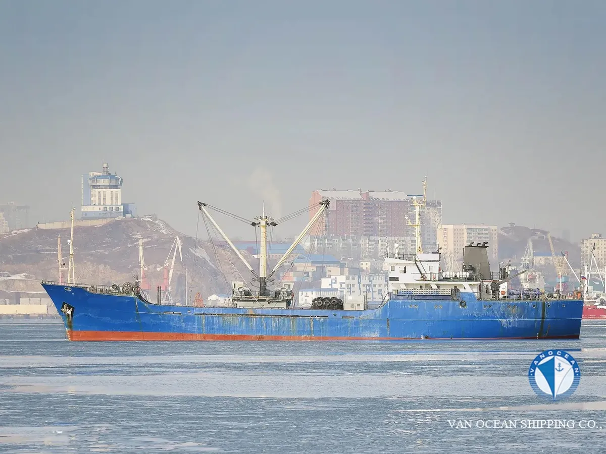Reefer ship for sale