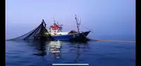 Trawler for sale