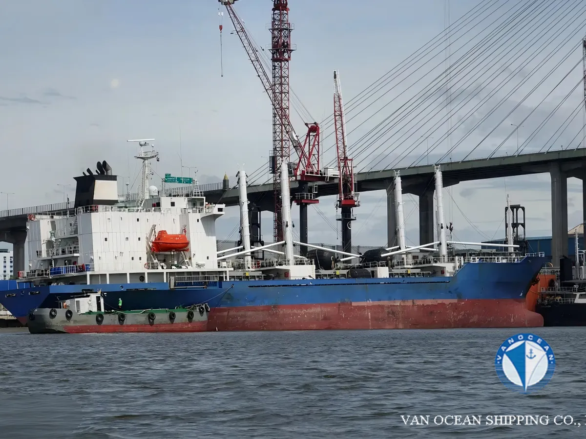 Reefer ship for sale