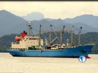 Reefer ship for sale