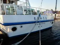 Cruise ship for sale