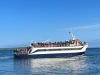 Passenger ship for sale
