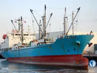Reefer ship for sale