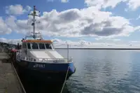 Patrol boat for sale