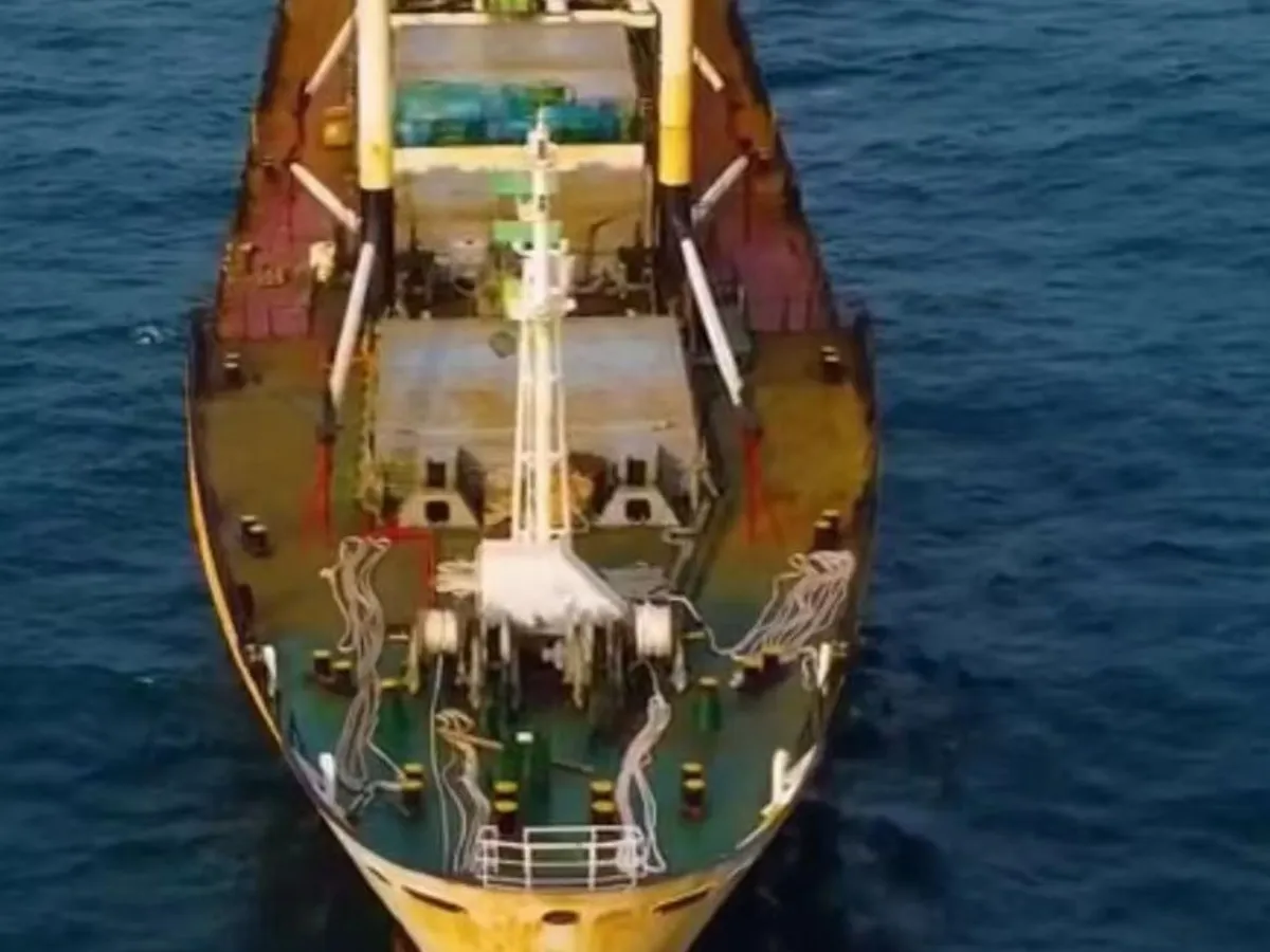 Reefer ship for sale