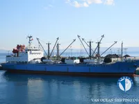 Reefer ship for sale