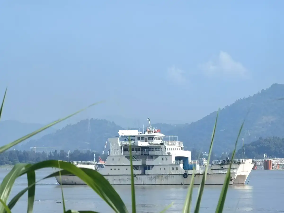 Catamaran for sale