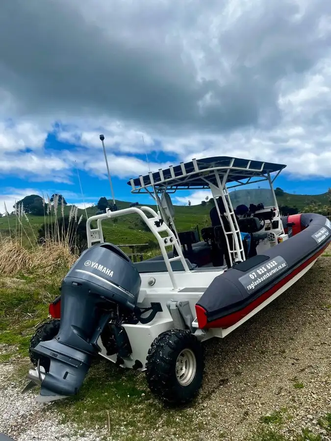 Amphibious for sale