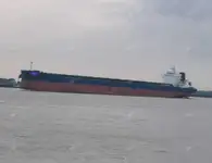 Bulk carrier for sale