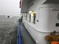 Multi-purpose for sale