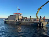 Multi-purpose for sale