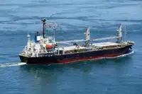 Bulk carrier for sale
