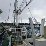 seiner for sale