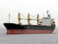 Bulk carrier for sale