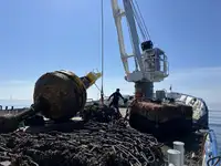 Multi-purpose for sale