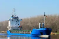 Bulk carrier for sale
